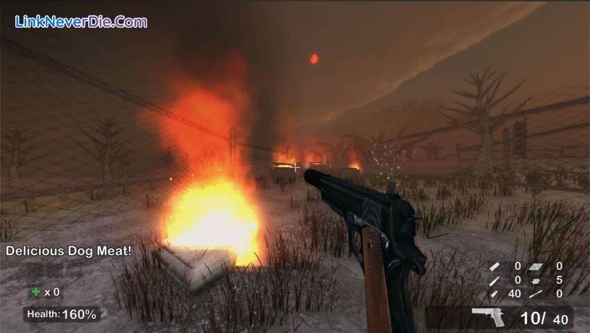 Hình ảnh trong game Fallen Times (screenshot)