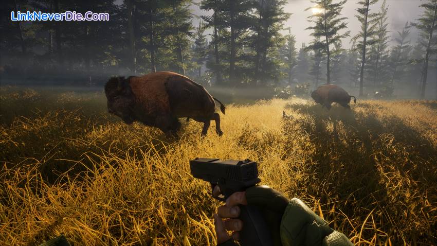Hình ảnh trong game BIGFOOT (screenshot) Hình ảnh trong game BIGFOOT (screenshot)