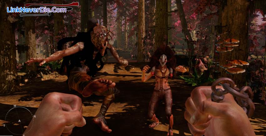 Hình ảnh trong game Zeno Clash 2 (screenshot)