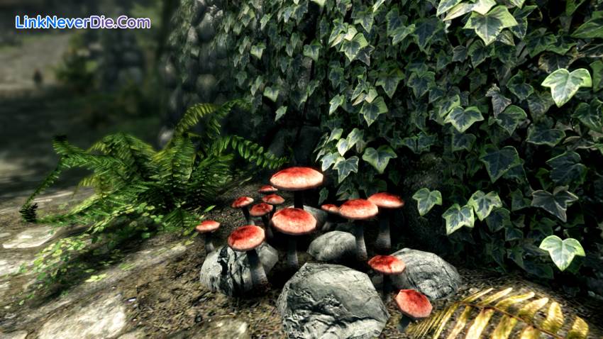 Hình ảnh trong game The Elder Scrolls V: Skyrim Ultimate HD Edition (screenshot)