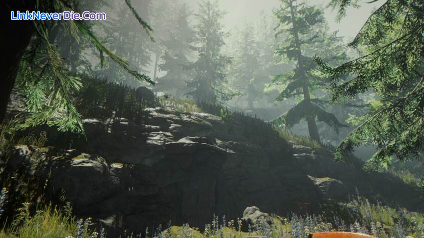 Hình ảnh trong game The Forest (screenshot) Hình ảnh trong game The Forest (screenshot)