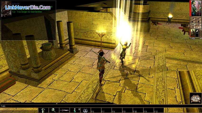 Hình ảnh trong game Neverwinter Nights: Enhanced Edition (screenshot)