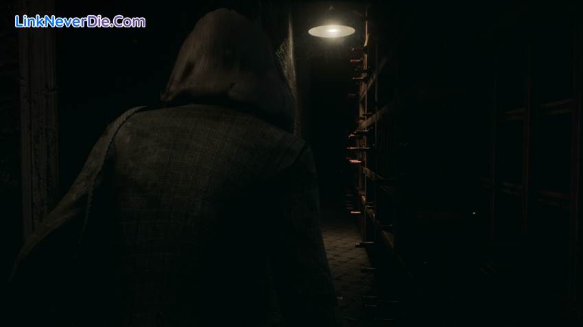 Hình ảnh trong game Remothered: Tormented Fathers (screenshot)