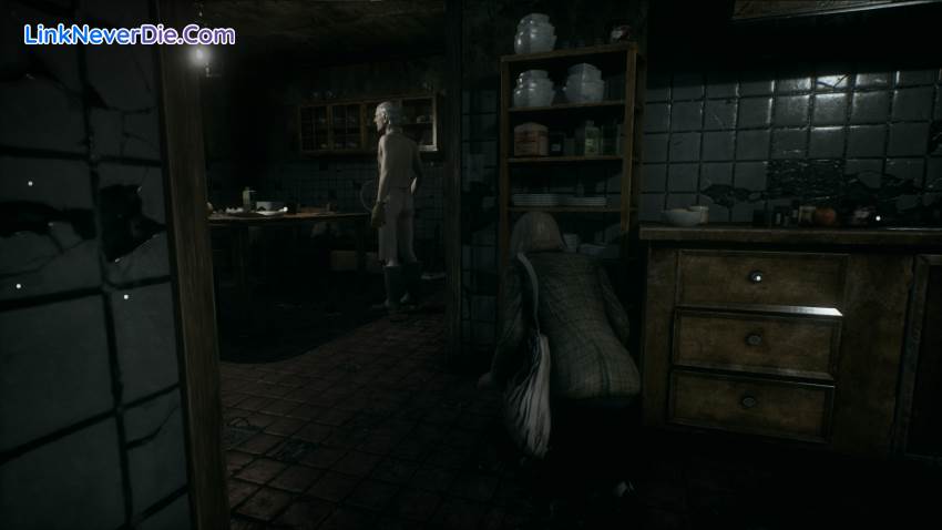 Hình ảnh trong game Remothered: Tormented Fathers (screenshot)