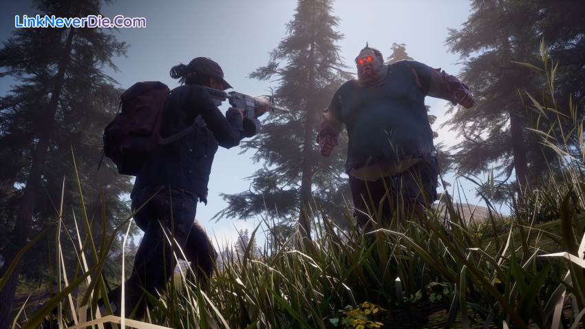 Hình ảnh trong game State of Decay 2 (screenshot)