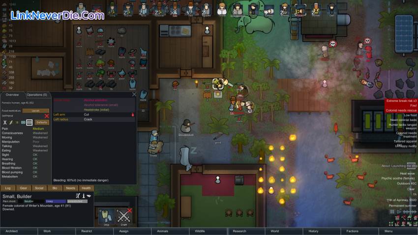 Hình ảnh trong game RimWorld (screenshot)