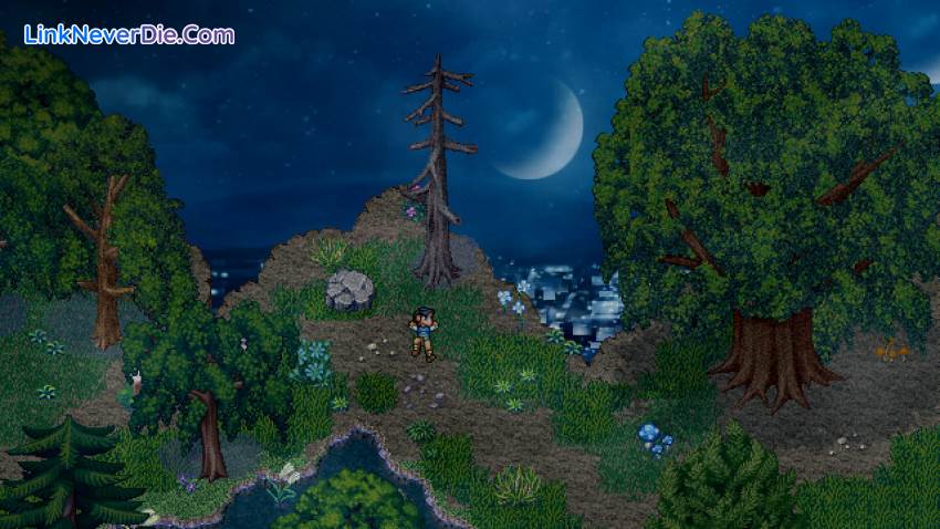 Hình ảnh trong game Finding Paradise (screenshot)