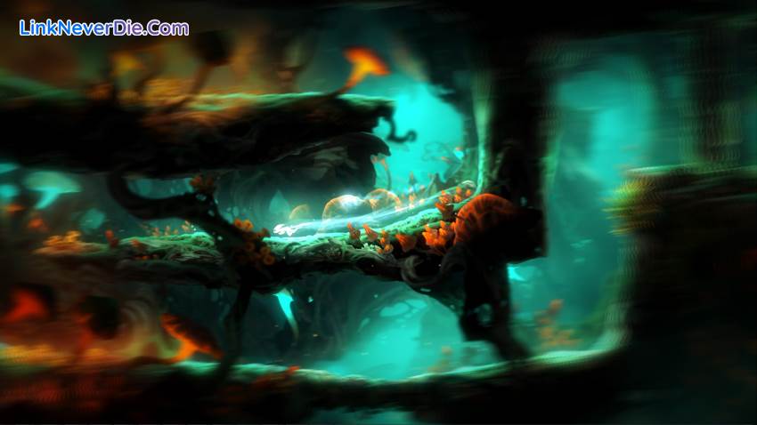 Hình ảnh trong game Ori and the Blind Forest: Definitive Edition (screenshot)