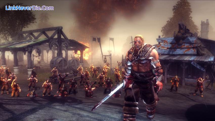 Hình ảnh trong game Viking: Battle for Asgard (screenshot)