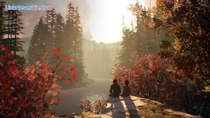 Hình ảnh trong game Life is Strange 2 (screenshot)