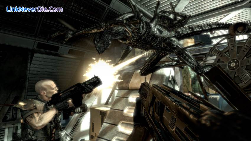 Hình ảnh trong game Aliens vs Predator (screenshot)