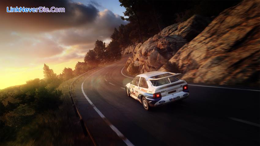 Hình ảnh trong game DiRT Rally 2.0 (screenshot)