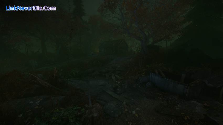 Hình ảnh trong game The Cursed Forest (screenshot)