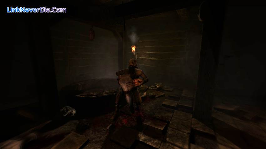 Hình ảnh trong game Amnesia The Dark Descent (screenshot)