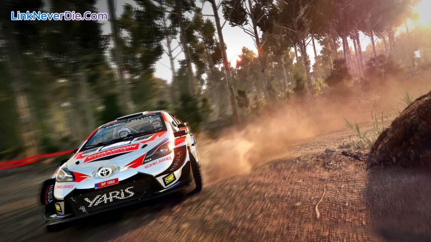 Hình ảnh trong game WRC 8 FIA World Rally Championship (screenshot)