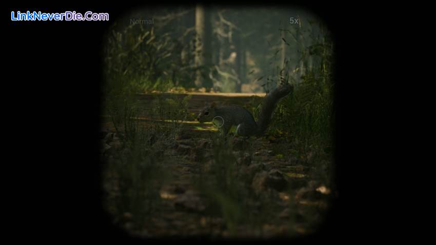 Hình ảnh trong game Morels: The Hunt (screenshot)