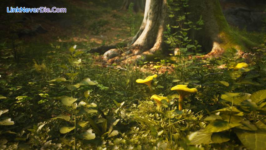 Hình ảnh trong game Morels: The Hunt (screenshot)