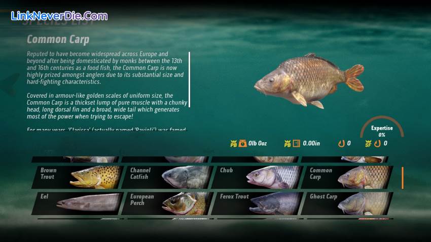 Hình ảnh trong game The Catch: Carp & Coarse (screenshot)