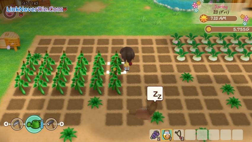 Hình ảnh trong game STORY OF SEASONS: Friends of Mineral Town (screenshot)