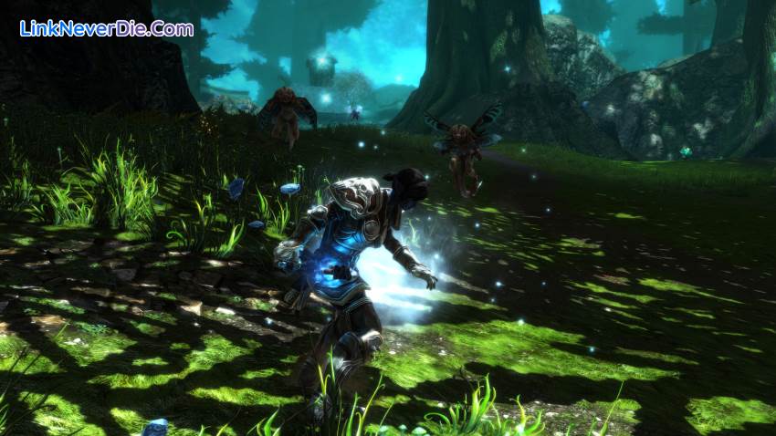 Hình ảnh trong game Kingdoms of Amalur: Re-Reckoning (screenshot)