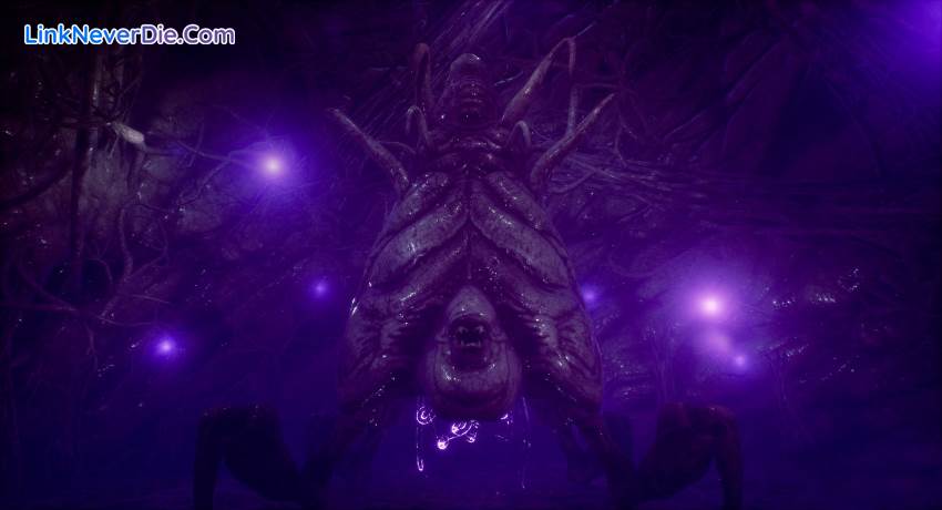 Hình ảnh trong game The Shore (screenshot) Hình ảnh trong game The Shore (screenshot)