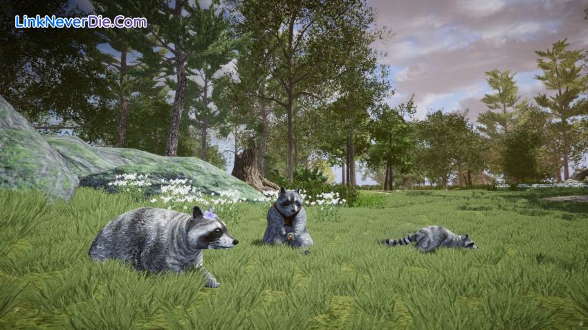 Hình ảnh trong game Wanted Raccoon (screenshot)