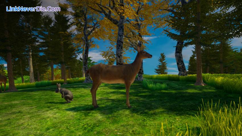 Hình ảnh trong game My Island (screenshot)