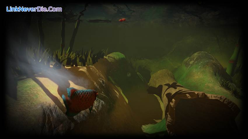 Hình ảnh trong game Feed and Grow: Fish (screenshot)