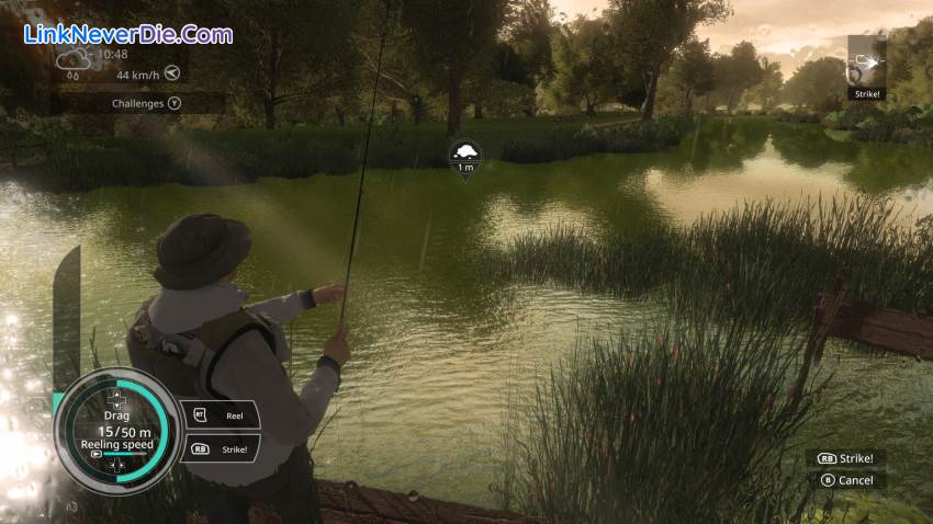 Hình ảnh trong game Pro Fishing Simulator (screenshot)