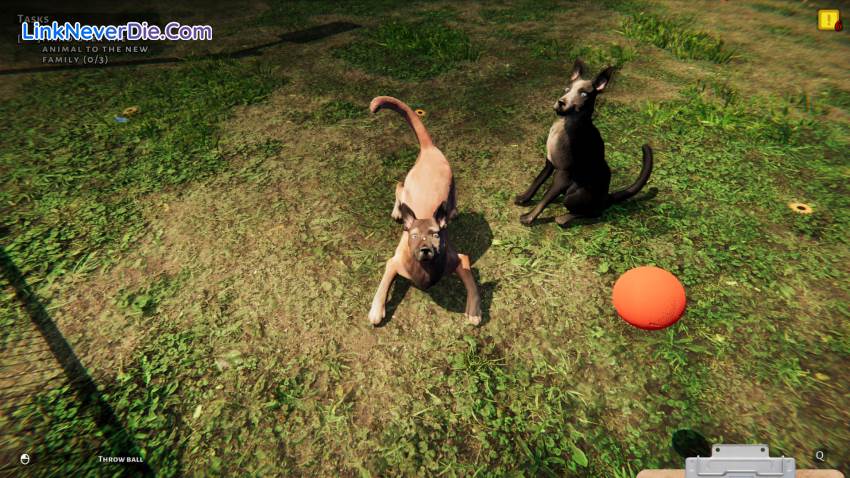 Hình ảnh trong game Animal Shelter (screenshot)