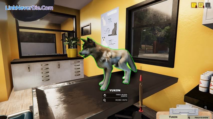 Hình ảnh trong game Animal Shelter (screenshot)