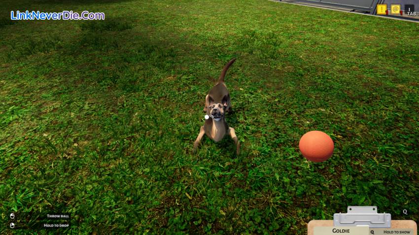 Hình ảnh trong game Animal Shelter (screenshot)