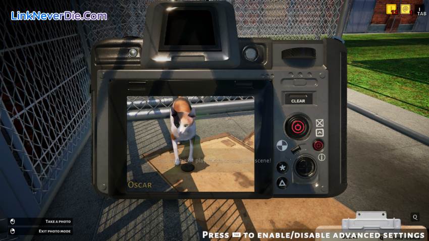 Hình ảnh trong game Animal Shelter (screenshot) Hình ảnh trong game Animal Shelter (screenshot)