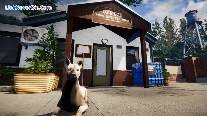 Hình ảnh trong game Animal Shelter (screenshot)