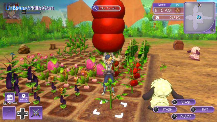 Hình ảnh trong game Rune Factory 5 (screenshot)