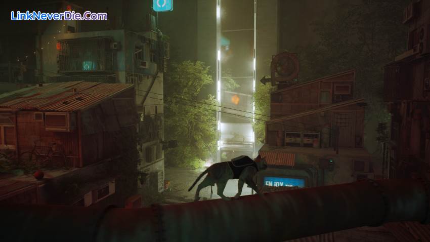 Hình ảnh trong game Stray (screenshot)