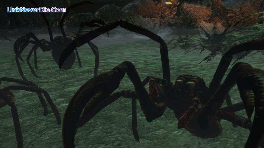 Hình ảnh trong game The Dark Eye Demonicon (screenshot)