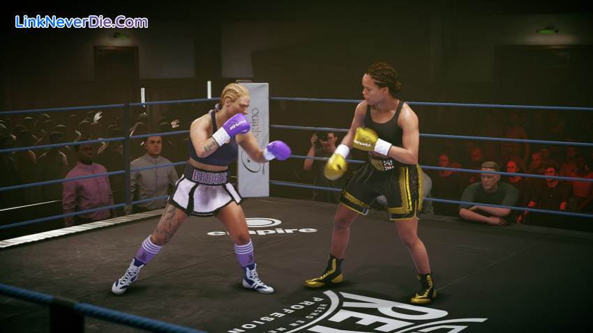 Hình ảnh trong game Undisputed (screenshot) Hình ảnh trong game Undisputed (screenshot)