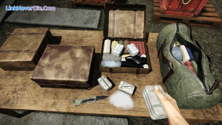 Hình ảnh trong game Contraband Police (screenshot)