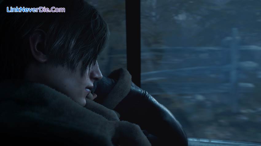 Hình ảnh trong game Resident Evil 4 (screenshot)