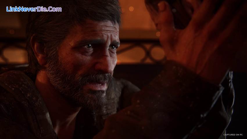 Hình ảnh trong game The Last of Us (screenshot)