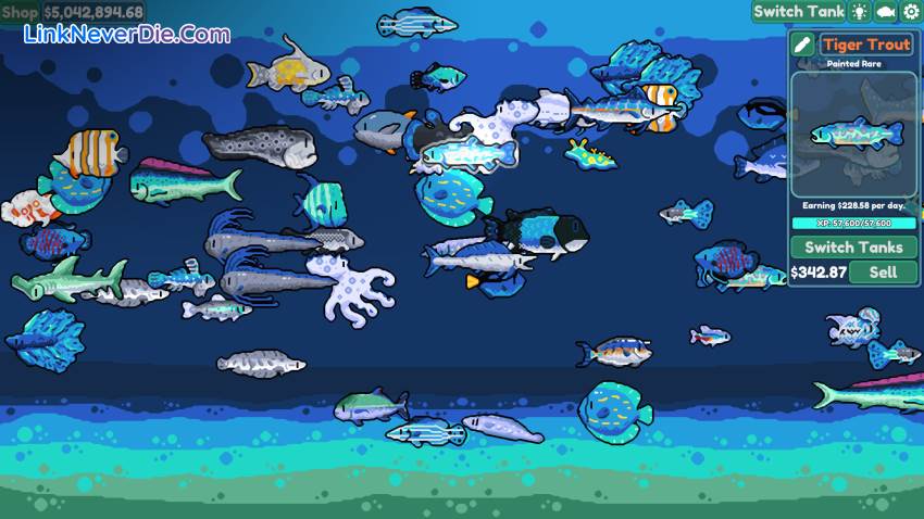 Hình ảnh trong game Chillquarium (screenshot) Hình ảnh trong game Chillquarium (screenshot)