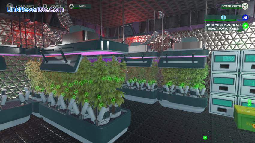 Hình ảnh trong game Weed Shop 3 (screenshot) Hình ảnh trong game Weed Shop 3 (screenshot)