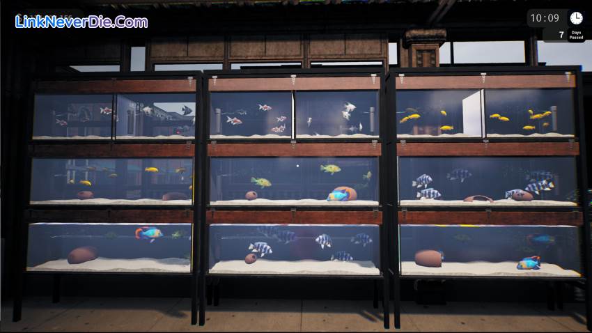 Hình ảnh trong game Exotica: Petshop Simulator (screenshot) Hình ảnh trong game Exotica: Petshop Simulator (screenshot)