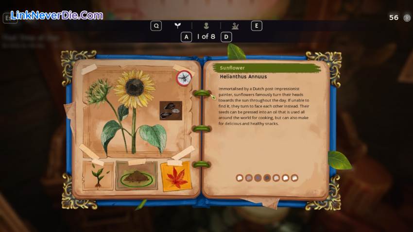 Hình ảnh trong game Garden Life: A Cozy Simulator (screenshot) Hình ảnh trong game Garden Life: A Cozy Simulator (screenshot)