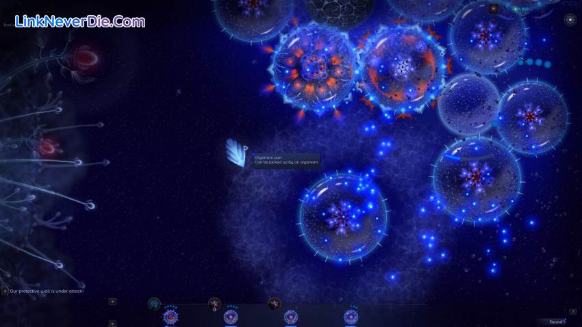 Hình ảnh trong game Microcosmum 2 (screenshot)