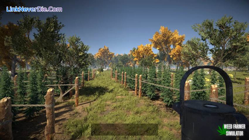 Hình ảnh trong game Weed Farmer Simulator (screenshot) Hình ảnh trong game Weed Farmer Simulator (screenshot)
