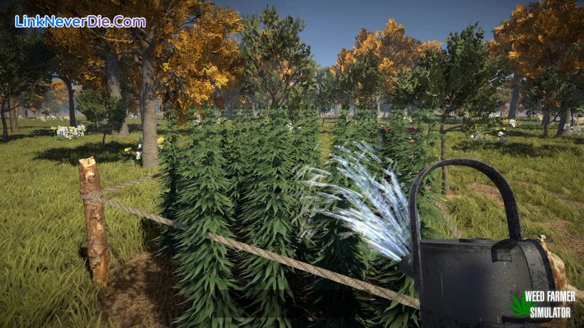 Hình ảnh trong game Weed Farmer Simulator (screenshot) Hình ảnh trong game Weed Farmer Simulator (screenshot)