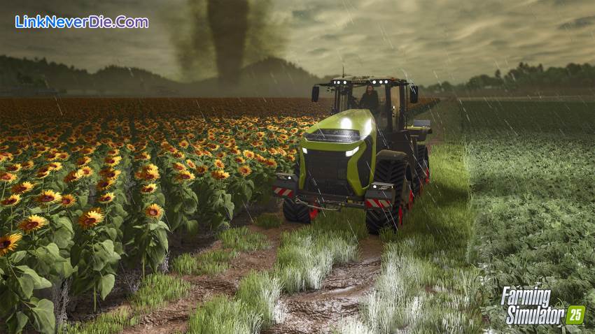 Hình ảnh trong game Farming Simulator 25 (screenshot)