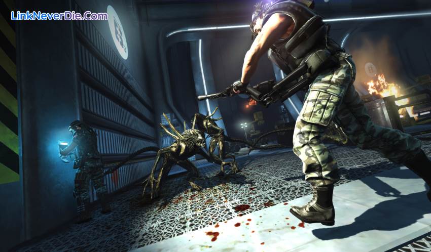 Hình ảnh trong game Aliens: Colonial Marines (screenshot)